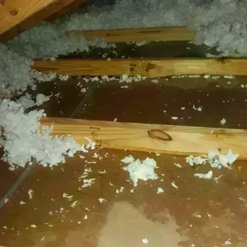 Attic Water Damage in Albany, OR