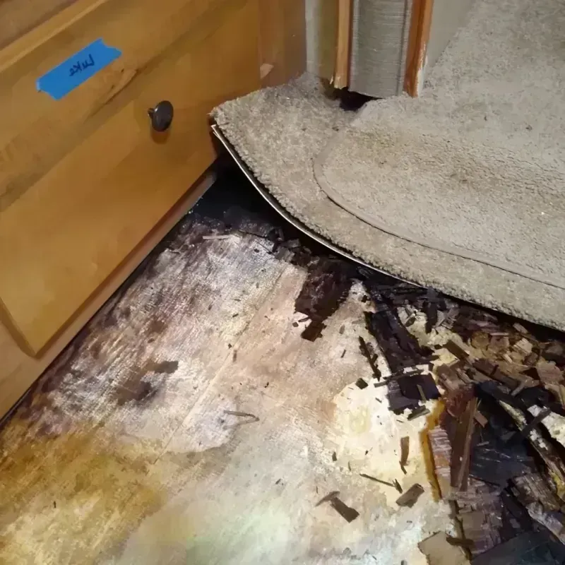 Wood Floor Water Damage in Albany, OR